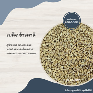 เมล็ดข้าวสาลี (แบ่งขาย 200-500G.) สุนัข แมว นก กระต่าย