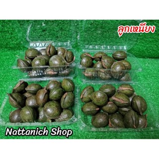 ลูกเหนียง​ (พม่า)​  หรือ มะตึ่ง​ กก.ละ 69 บาท
