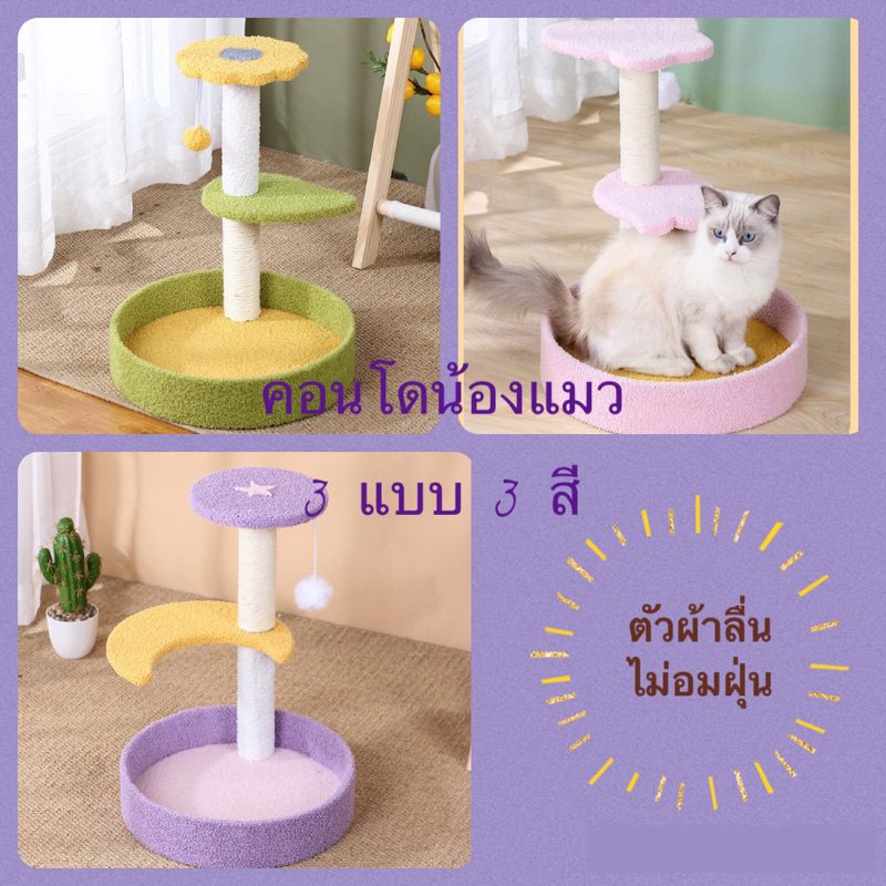 คอนโดแมว มี 3 แบบ ที่นอนแมว เบาะนอนได้