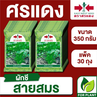 ขายส่ง เมล็ดพันธุ์ ศรแดง BIG ผักชี สายสมร ขนาด 350 กรัม (350 กรัม X 30 ถุง)