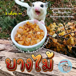 ( ยางไม้ ​) acacia gum อาหารตามธรรมชาติ​ ไม้แทะ ไม้แอปเปิ้ล ไผ่หวาน ชูการ์​ กระรอก​ ดอร์เมาส์​ บุชเบบี้​​ แฮมสเตอร์​
