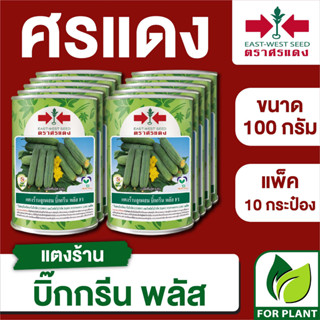 ขายส่ง เมล็ดพันธุ์ ศรแดง BIG แตงร้าน บิ๊กกรีนพลัส ขนาด 100 กรัม (100 กรัม X 10 กระป๋อง)