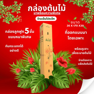 กล่องต้นไม้5ชั้น ขนาด 30*170*30 (1แพ็คมี10ใบ)