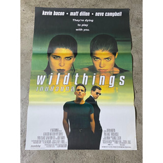 โปสเตอร์หนัง เกมซ่อนกล Wild Things