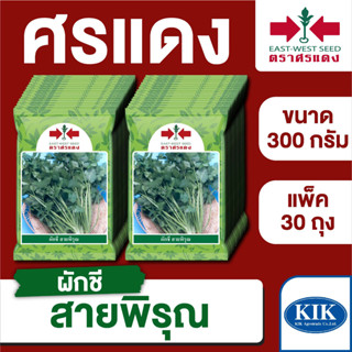 ขายส่ง เมล็ดพันธุ์ ศรแดง BIG ผักชี สายพิรุณ ขนาด 300 กรัม (300 กรัม X 30 ถุง)