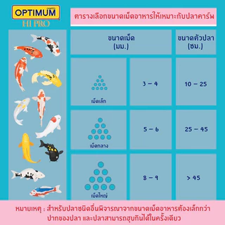 อาหารปลาคราฟ OPTIMUM HI PRO สาหร่าย 6% เร่งสี เร่งโต ขนาด 7 กก.