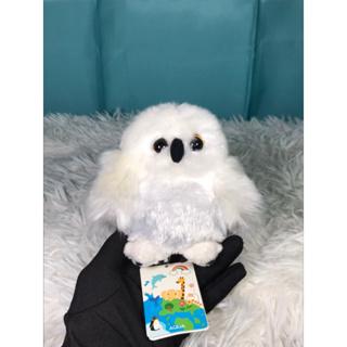 Snowy Owl Stuffed Animal Aqua ตุ๊กตา นกฮูก หิมะ