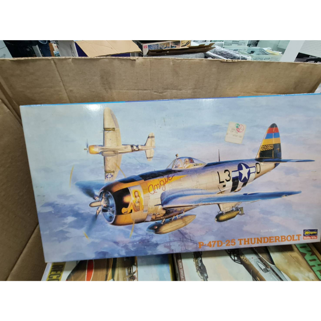 Hasegawa 09140 1/48 Scale P-47d-25 Thunderbolt Plastic Plane Kit