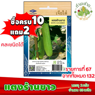 (ซื้อ10แถม2) เมล็ดพันธุ์ แตงร้าน ขาว white cucumber ประมาณ 85เมล็ด เจียไต๋ เมล็ดพันธุ์พืช เมล็ดพันธุ์ผัก เมล็ดผัก เม็ดผั