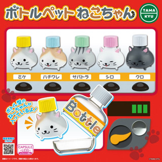 กาชาปองฟิกเกอร์แมวในขวด Bottle Pet Cat