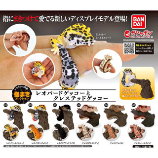 (มีของพร้อมส่ง) กาชาปองตุ๊กแกเสือดาวตุ๊กแกตาหนาม Gashapon Bandai Ikimono Encyclopedia Advance Leopard Crested Gecko V.1