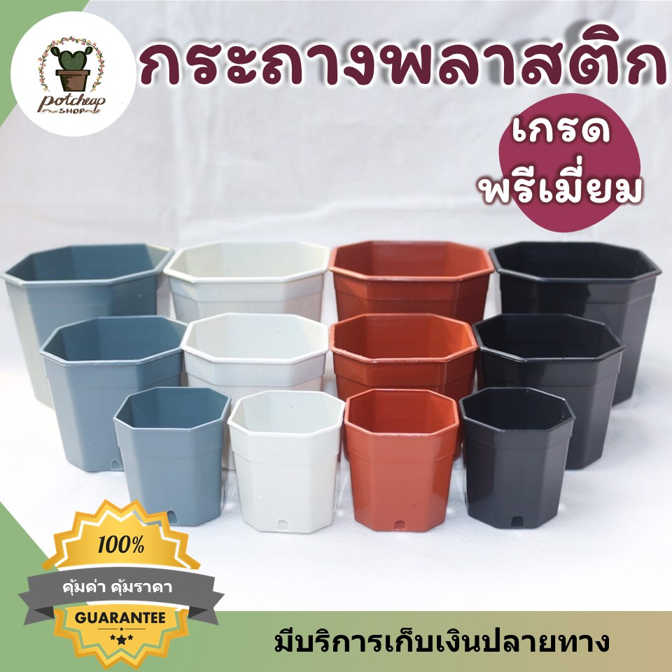 🌵 กระถางแคดตัส กระถางกระบองเพชร กระถางต้นไม้พลาสติก 2 นิ้ว 3นิ้ว 4นิ้ว ทรง8เหลี่ยม (🌵สั่งขั้นต่ำ5ใบค่ะ)