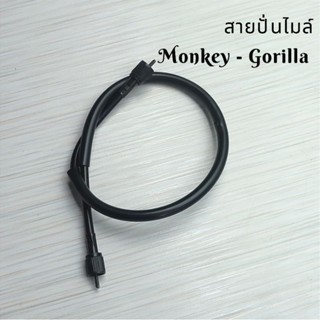 สายปั่นไมล์ GIO MOMO ใส่ Monkey Gorilla