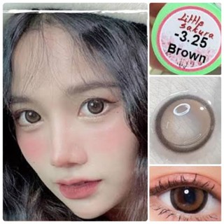 คอนแทคเลนส์ Mini Sakura/Little Sakura สีดำ/ตาล Black/Brown มีค่าสายตาปกติ (0.00) เปลี่ยนแทนทุกเดือน