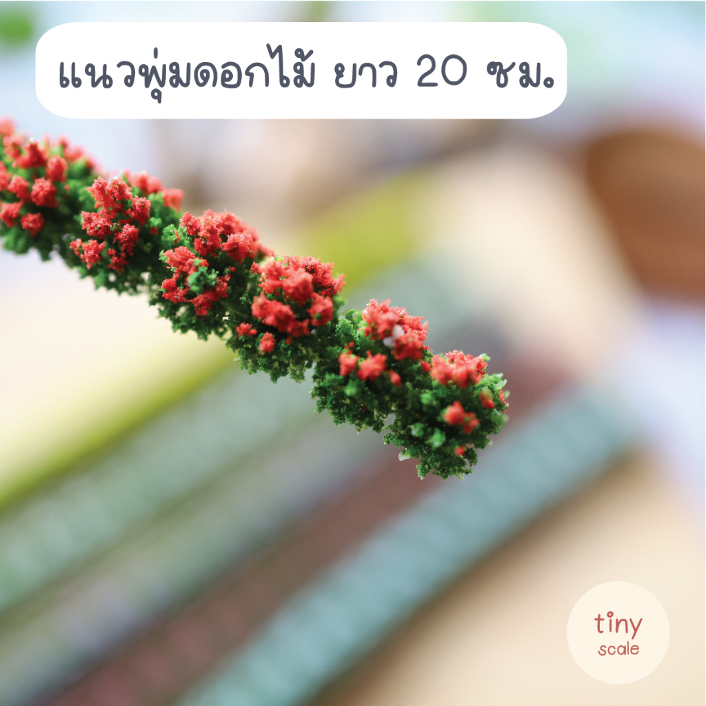 รูปภาพ 3