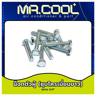 น็อตตัวผู้ (ชุบโครเมี่ยมขาว) ขนาด 1/4" - 5/16"