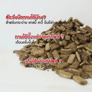🎉best 1st🎉 คุ๊กกี้สำหรับกระต่าย 100 ชิ้น ทำจากทิโมธี ทิมโมธี ท้องไม่อืด หญ้ากระต่าย ขายดี