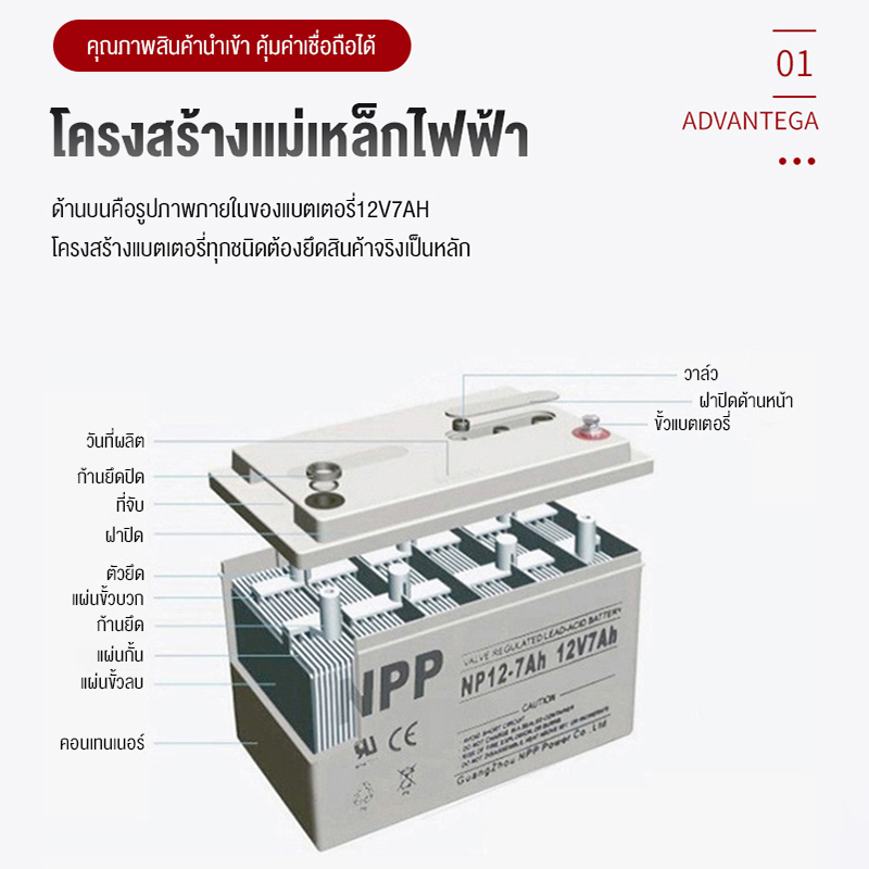 รูปภาพ 5