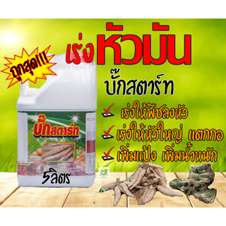 ฮอร์โมน บั๊กสตาร์ท ขนาด 5 ลิตร เร่งหัวมัน ลงหัวระเบิดหัว เพิ่มแป้งมัน พืชตระกูลหัวทุกชนิด มันโต้ ตะไคร้