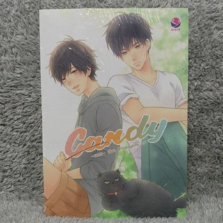 [มือ1ขีดสัน] Candy เล่มเดียวจบ(มือ 1 ในซีล มีตำหนิ มีขีดสัน)[นิยายวาย]