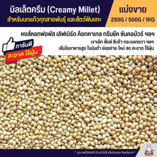 มิลเล็ตครีม Creamy Millet เกรด A อาหารนกแก้ว และสัตว์ฟันแทะ สะอาด ร่อนฝุ่นทุกถุง (แบ่งขาย 250G / 500G / 1KG)