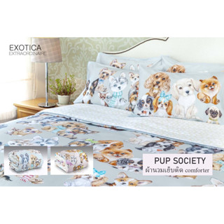 EXOTICA ผ้านวมเย็บติด ลาย Pup Society ขนาด 100”x90” (สำหรับเตียง 6 หรือ 5 ฟุต), 70”x90” (สำหรับเตียง 3.5 ฟุต)