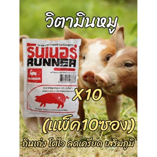 **10ซอง**รันเนอร์ 450กรัม วิตามินหมู ช่วยย่อยแก้เครียดแก้แพ้หลังทำวัคซีน เร่งโต