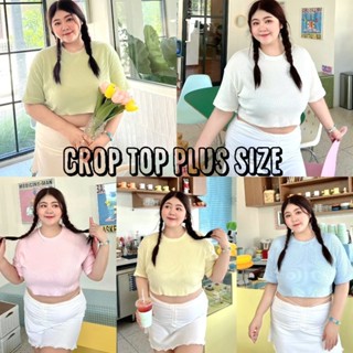 LADY_JEANS#HN9เสื้อครอปผ่าร่อง Plussize สาวอวบ ผ้านิ่มน่ารัก สวบใส่ง่าย