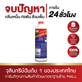 แบคโตเซล * ส้วมตัน ส้วมเหม็น BACTOCEL 2001 300cc น้ำยากำจัดกลิ่นท่อ ท่อระบายน้ำ ลดกลิ่นเหม็น น้ำเน่าเสีย ย่อยกากของเสีย