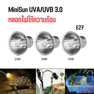 หลอดไฟให้ความร้อน MiniSun UVA​/UVB​ 3.0​ สำหรับเต่าน้ำ​​ เต่าบก​ สัตว์เลื้อยคลาน