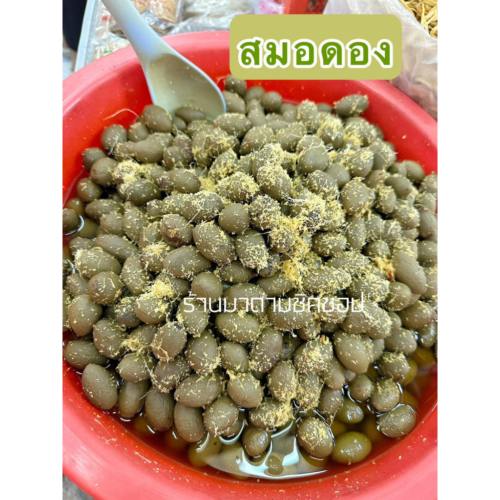 สมอดอง กานาซั่มพร้อมข่าป่น น้ำหนัก 500กรัม และ1กิโลกรัม ใช้ทำกานาฉ่ายเคี่ยวหรือตุ๋นทานกับข้าวต้มร้อนๆ