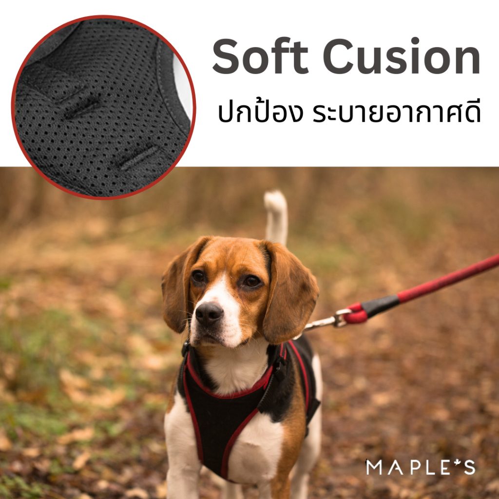 MAPLE'S สายจูงสุนัขยาว3เมตร ที่รัดอก สายจูงสปริงยืดหดได้ สุนัขใหญ่ เเมว Cat leash เชือกจูง จูงเเมว รูปที่ 7
