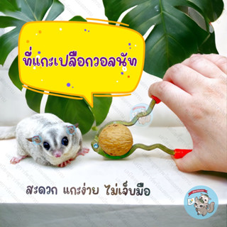 V ( WALNUT OPENER ที่แกะเปลือก ) ที่แกะเปลือกวอลนัท walnut วอลนัท วอลนัต ถั่ว อัลมอนด์ ไผ่หวาน ไม้แอปเปิ้ล ชูการ์ กระรอก