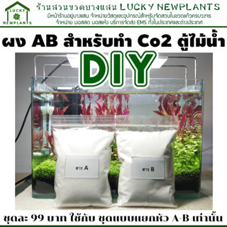 DIY Co2 ผง AB สำหรับทำก๊าซคาร์บอนไดออกไซด์ ตู้ไม้น้ำ