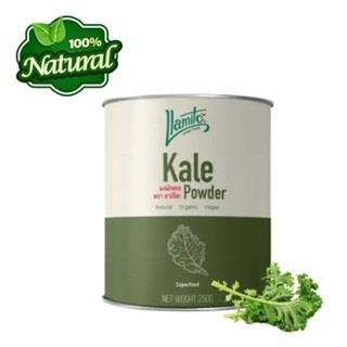 Kale Powder ผงผักเคล ผงเคล ออร์แกนิค100% ขนาด 250 กรัม