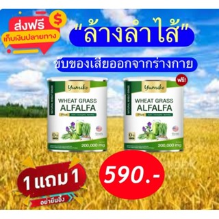 💥✅Wheatgrass Alfalfa ✅💥วีทกราส อัลฟาฟ่า 200 กรัม ส่งฟรี