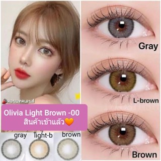 💖 Kitty kawaii ๑ mini Olivia Brown Light brown สายตา -00 ถึง -1000 Contactlens  คอนแทคเลนส์