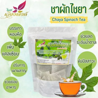 🌿🥬ชาผักไชยา/คะน้าเม็กซิโก(Chaya Spinash) ชาบำรุงร่างกาย ต้านการอักเสบ,ฆ่าพยาธิ/คุณค่าสูง ผลิตโดย:วิสาหกิจชุมชนบ้านปางสัก