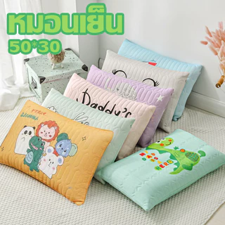 【50*30】 หมอนเด็ก หมอนไหมเย็น หมอนเพือสุขภาพ ระบายความร้อนได้ดี มีซิป ปลอกถอดซักได้นอนสบายเนื้อผ้านุ่ม