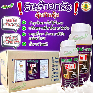 🎉สินค้ายกลัง (อัมรินทร์-เทรล) 2 in 1 ยาเร่งน้ำยาง (ฝาม่วง-ฝาขาว) ยาทาหน้ายาง สารบำรุงและเพิ่มน้ำยาง ขนาด 500,1000 ซีซี