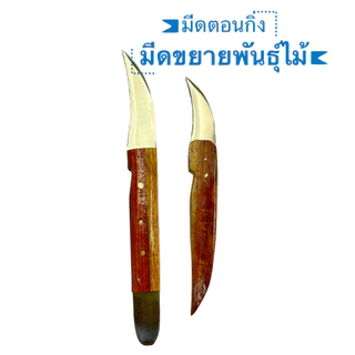 มีดตอนกิ่ง ติดตา เสียบยอด ซื้อ1 แถม 1