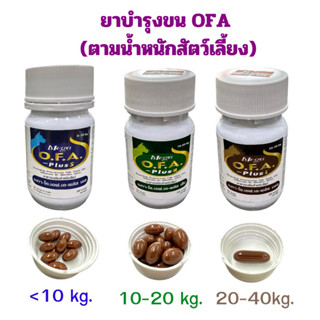 วิตามินบำรุงขน Mega OFA สำหรับสุนัข