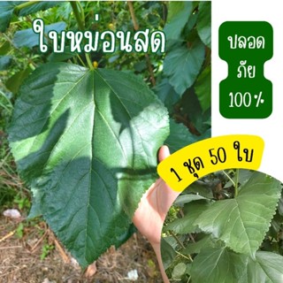 ใบหม่อนสด ใหญ่ ปลอดสาร100%