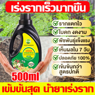 🌱1ขวดเท่ากับ10ขวด🌱ยาเร่งราก น้ํายาเร่งราก b1เข้มข้นสุด ใบตาย เร่งดอก เร่งราก บำรุงต้น อัตรารอดสูง แก้ปัญหารากเน่าใบตาย