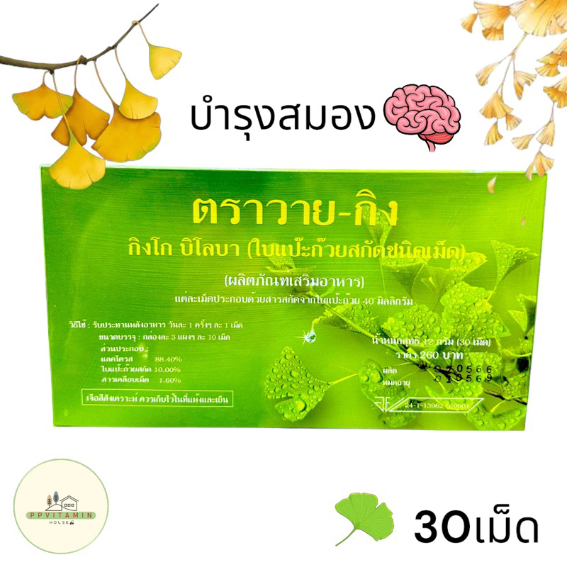 Y-GINK กิงโก บิโลบา ตรา วายกิง ใบแป๊ะก๊วยสกัด  (1กล่อง มี 30 เม็ด)