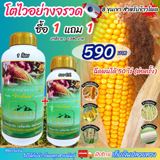 [พร้อมส่ง] 8ขุนเขา ข้าวโพด ขนาด1 ลิตร ซื้อ1แถม1 อาหารเสริมพืช ยาฉีดข้าวโพด ฮอร์โมนข้าวโพด ปุ๋ยฉีดข้าวโพด ปุ๋ยน้ำ 6