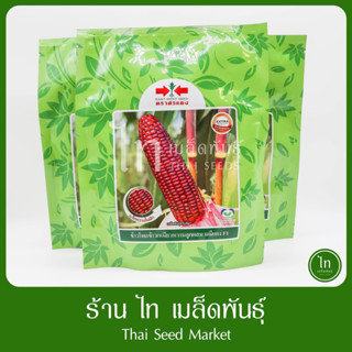 ข้าวโพด มณีแดง F1 ข้าวโพดม่วง เมล็ดพันธุ์ข้าวโพด ข้าวเหนียว สีม่วง ลูกผสม ตรา ศรแดง ฝักใหญ่ นุ่ม ทานอร่อย บรรจุ 200 กรัม