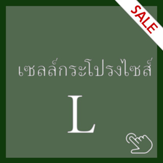 Sale ‼️ กระโปรงไซส์ L