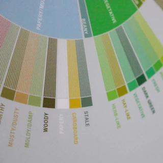 Poster : วงล้อรสชาติกาแฟ [Coffee Taster's Flavor Wheel] มีขนาด A4, A3 พร้อมกรอบ (รับพิมพ์ตามออเดอร์)