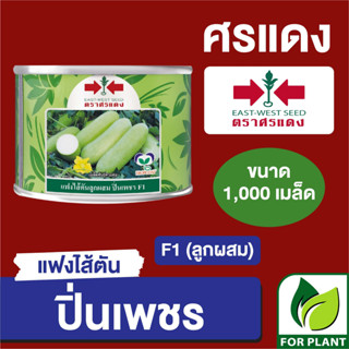 เมล็ดพันธุ์ ศรแดง Big แฟง ปิ่นเพชร 1,000 เมล็ด กระป๋อง ขนาด 1 กิโลกรัม